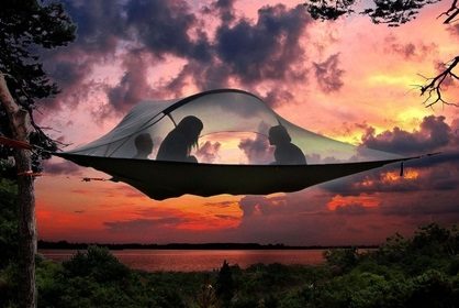 Stingray Tent