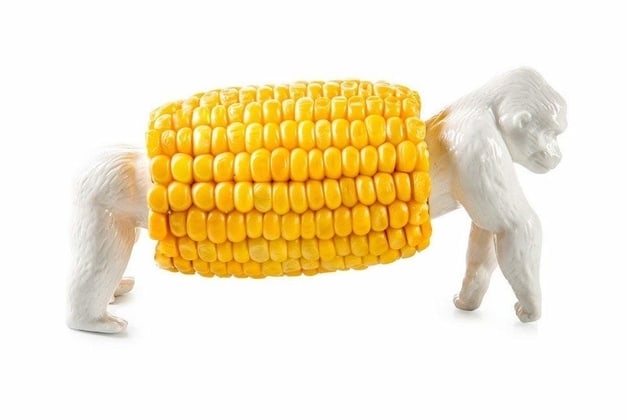 "King Corn" Corn Holder