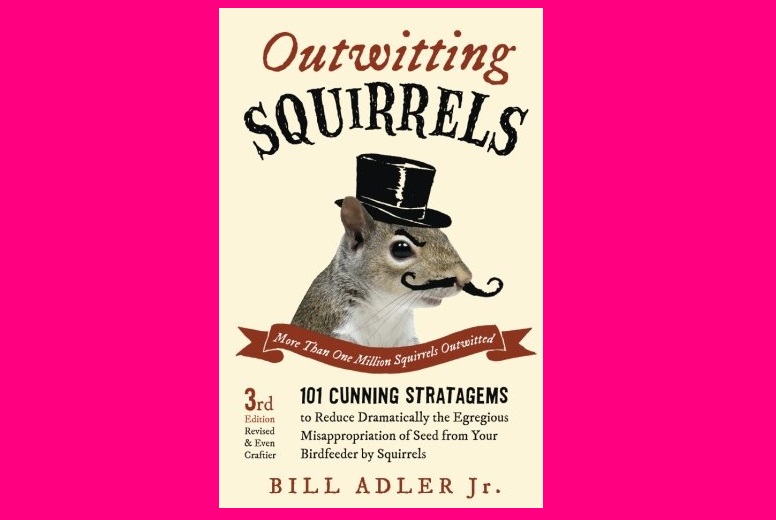 Outwitting Squirrels 101
